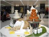 Fountain Food by Rent a cook Catering in Salzburg